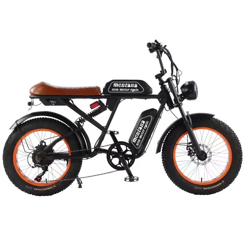 Electric Bike 20-Inch 4.0 Wide Snow Tires Rear 7-Speed Two-Wheel Lithium Battery