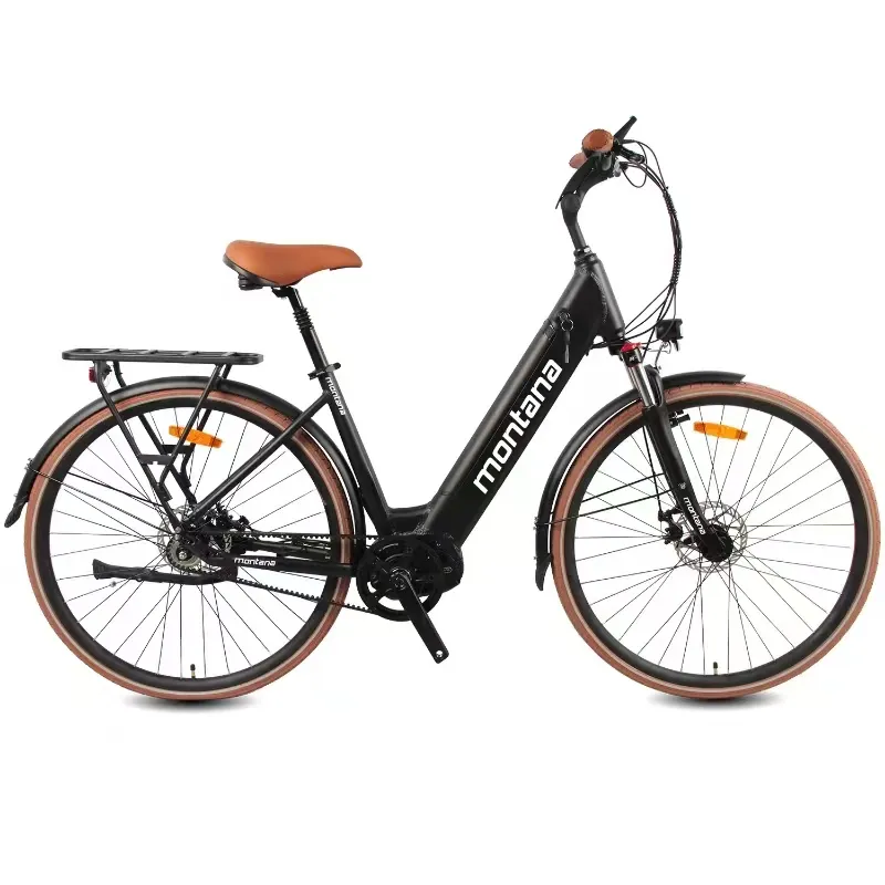 Urban Mid-Motor Lithium Electric Commuter Bike