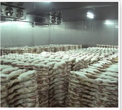 reliable-cold-storage-rooms-for-sale-and-modern-industrial-refrigeration-solutions