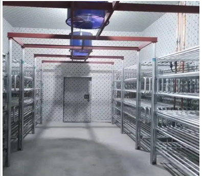 next-generation-iqf-solutions-from-small-iqf-freezer-to-emergency-cold-storage-technologies