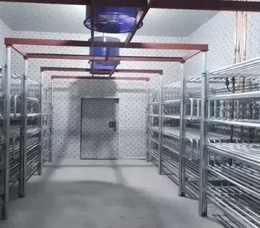 Discover Our Comprehensive Cold Room Solutions