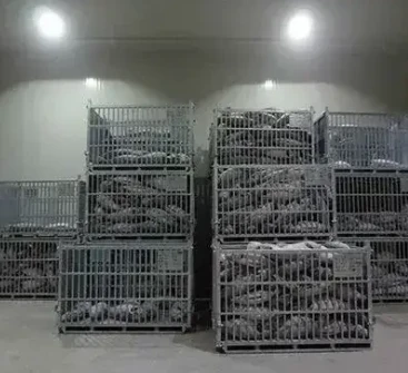 Vacuum Freezer Machine for Modern Needs