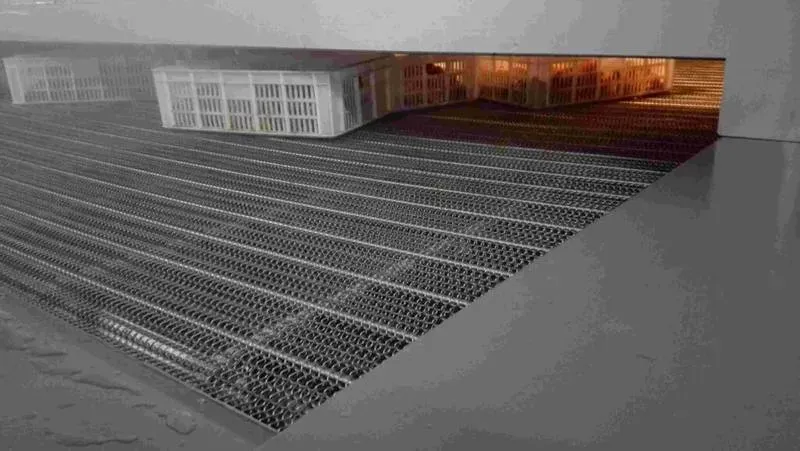 Cold Room Solutions for Your Business