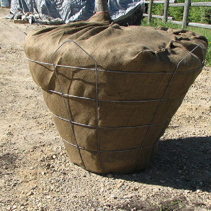 20-Foot Welded Wire Fence Secure and Durable Boundary Solution 20-Foot Welded Wire Fence Secure and Durable Boundary Solution