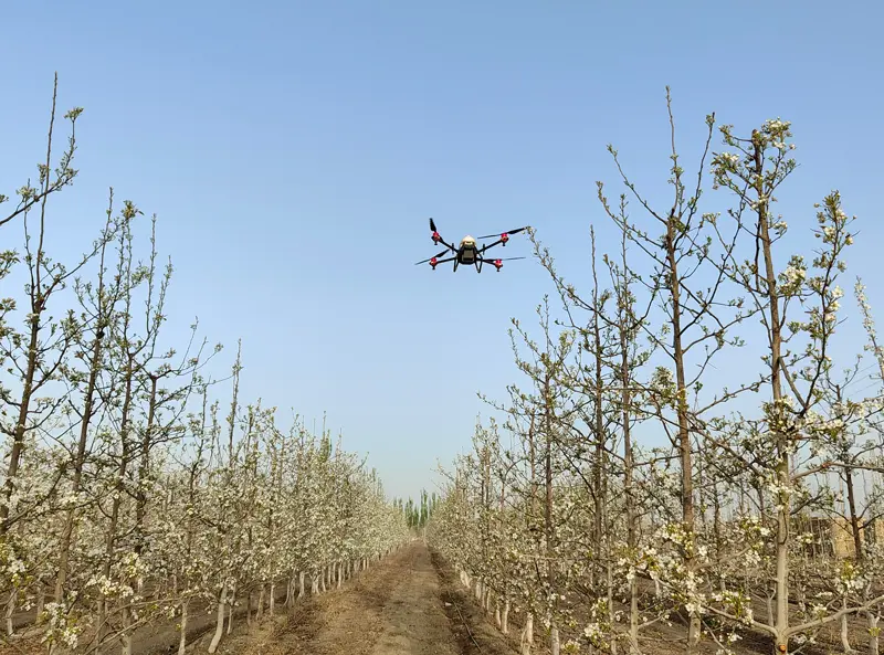 Orchard Drone Pollination Technology