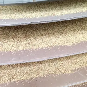 Purchase apricot pollen powder. Purchase apricot pollen powder.