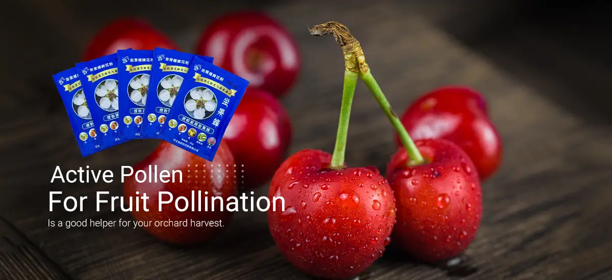 Read More About Pearpollen