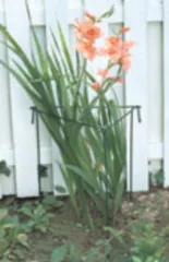 80cm garden gate