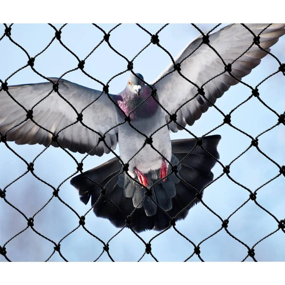 Types and Use of Bird Netting for Garden