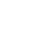 in_icon