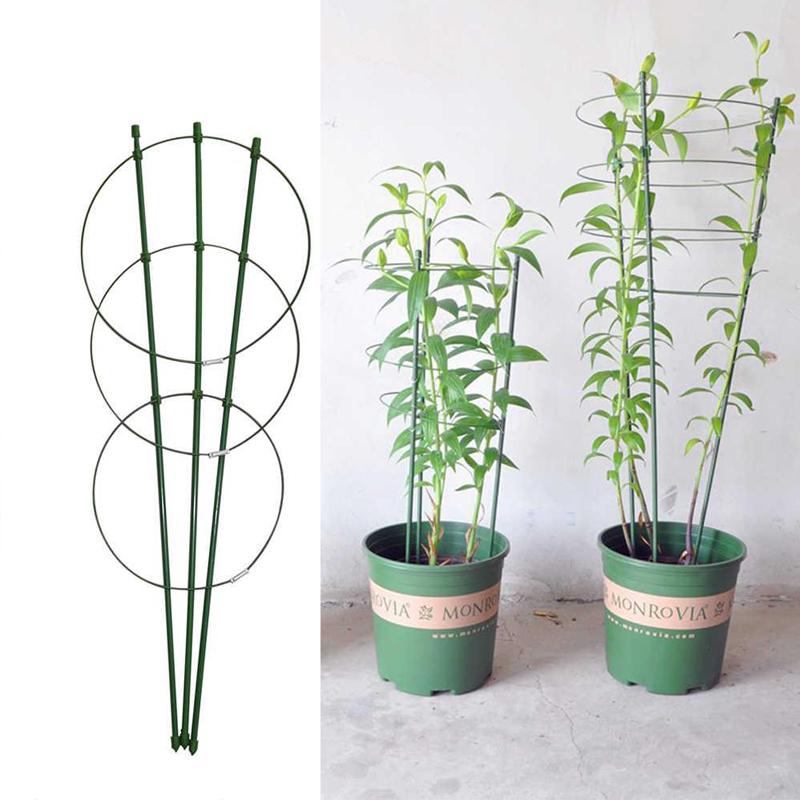Climbing Vine Rack 40/60cm