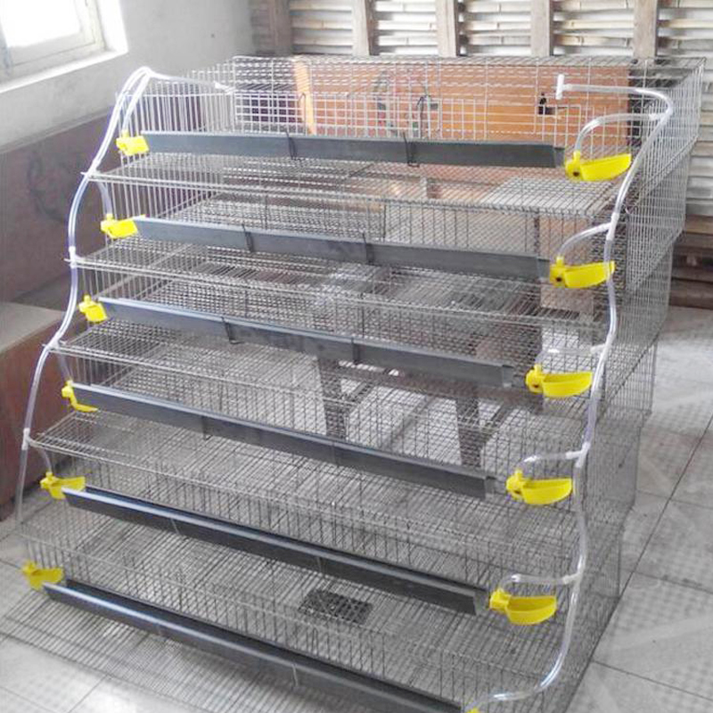 Quail Cage