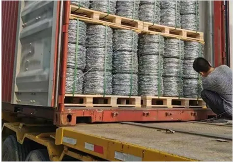 Shipping