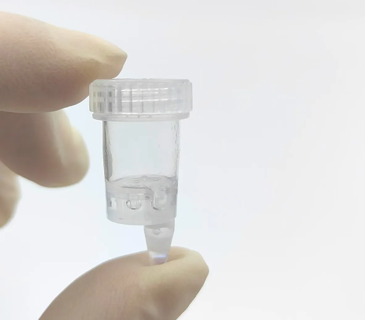 RT PCR Zika and Associated Viral Detection Tools: Advancing Precision in Pathogen Identification