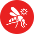 mosquito