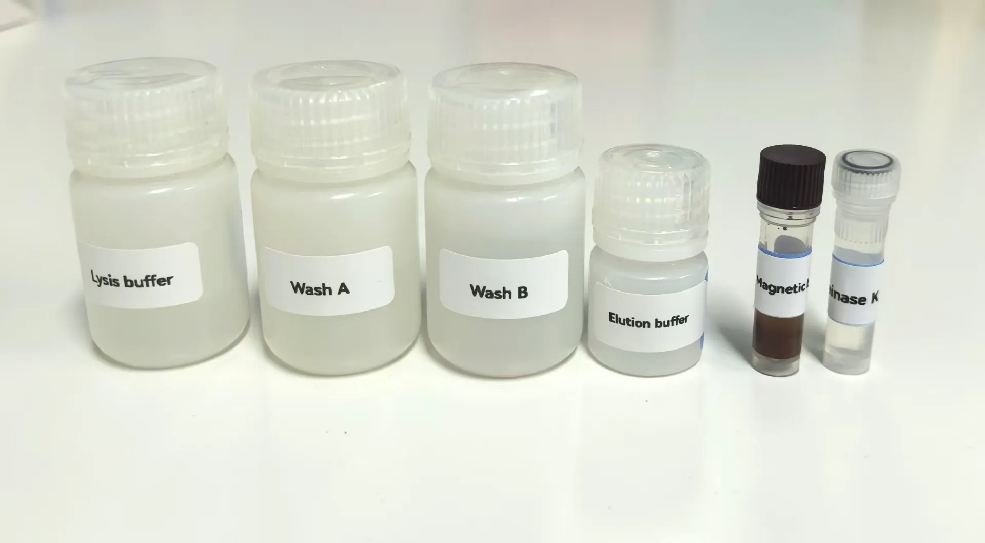 DNA Extraction Kit | Fast, High-Yield, PCR-Ready Purity