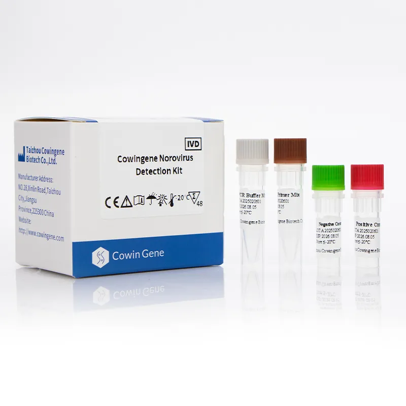 Norovirus Detection Kit - Rapid, Accurate, CE-Marked