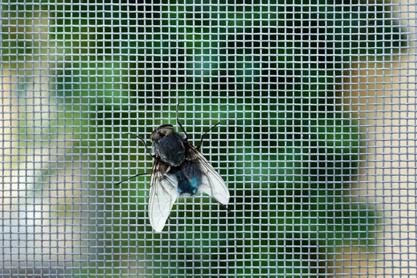 anti fly window screen