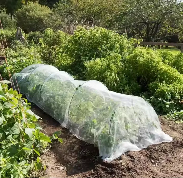 mosquito netting supplier