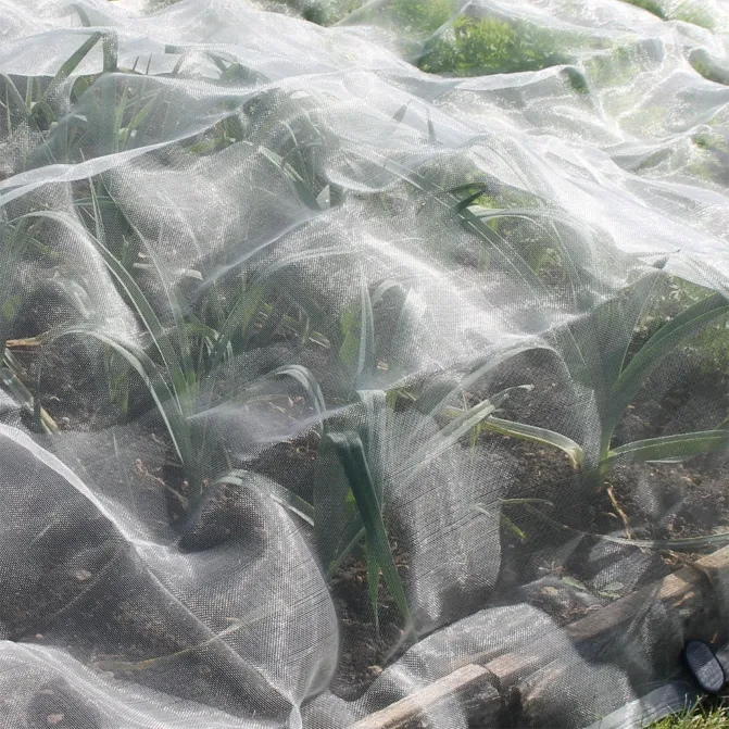 insect mesh manufacturer