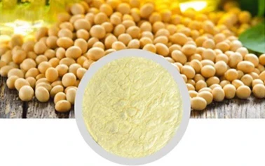 Phosphatidylserine Soybean Extract Powder 50% Nootropics Herbal Extract Raw Material