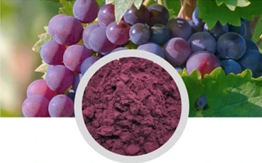 Grape Skin Extract Powder Resveratrol 5% Water Soluble Chinese Maufacturer