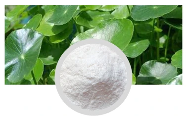 Centella Asiatica Extract Gotu Kola Extract Asiaticosides China Factory Raw Material