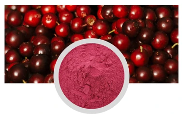 Cranberry Extract Powder Anthocyanidins Proanthocyanidins Solvent Extraction