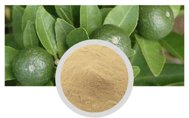 Diosmin Citrus Aurantium Extract Hesperidin Pharmaceutical Chemicals API