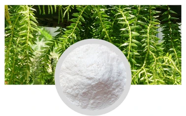 Huperzine A Powder 1% 98% Chinese Herbal Medicine Factory Wholesale