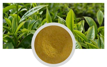 L Theanine Green Tea Extract Plant Extract Raw Material Wholesale