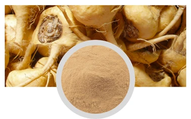 Maca Extrat Powder Sexual Health Care Functional Plant Extract Wholesale