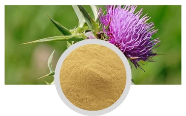 Milk Thistle Extract Silymarin Powder Liver Protection Chinese Plant Extract