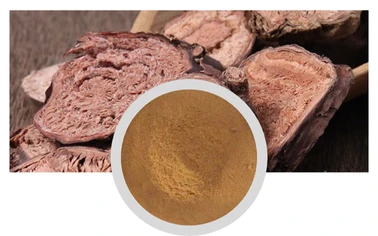 Rhodiola Rosea Extract Salisorosides Rosavins Plant Extract Dietary Supplement