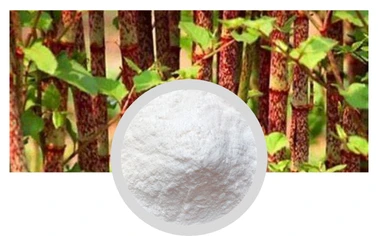 Trans-Resveratrol 98% Powder Polygonum Cuspidatum Extract Skin Care Factory Supply