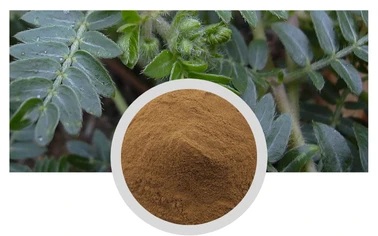 Tribulus Terrestris Extract Total Saponins Chinese Raw Material