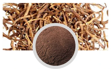 Valerian Extract Valerenic Acid Herbal Extract Anti Depression Chinese Raw Material