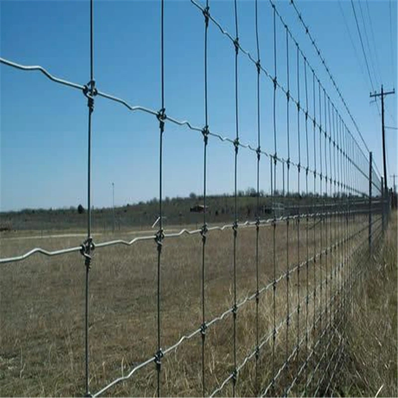 Wholesale Hot Sale Cheap Galvanized Sheep Livestock Wire Mesh Rolls Security Farm/Horse Cattle Field Fence for Fixed Knot/Deer/Game