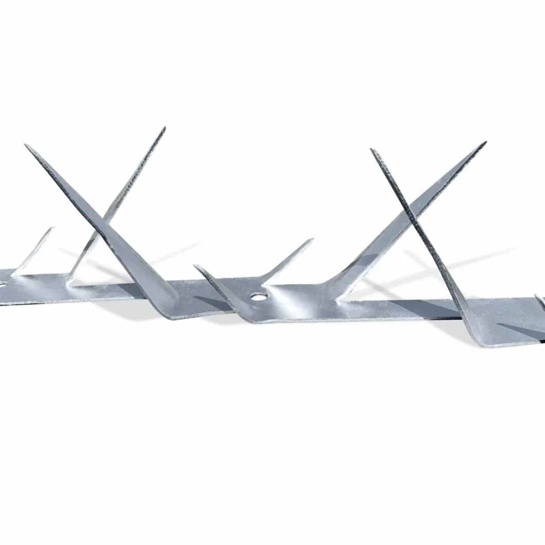 Galvanized or Powder Coated Anti-Climb Protect Wall Spike