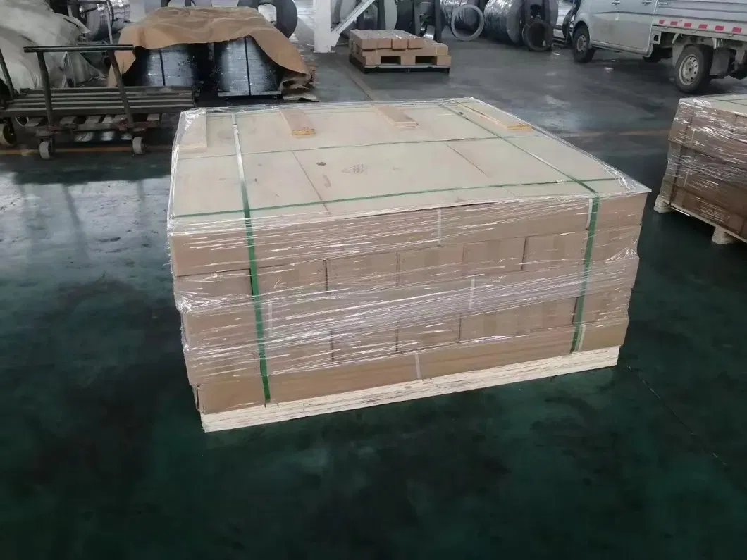 Galvanized or Powder Coated Anti-Climb Protect Wall Spike