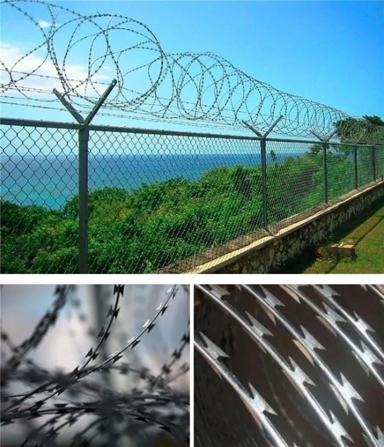Concertina 150X150mm Square Diamond Hole Razor Wire Welded Mesh Fence