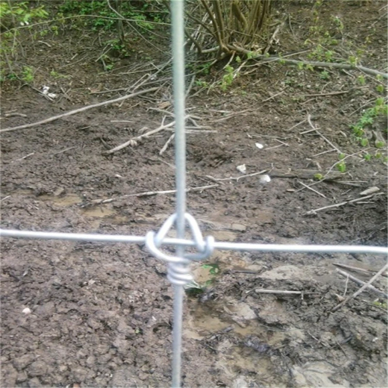 Australia Animals Deer Farm Field Wire Mesh Mesh Roll Farm Fixed Knot Fence