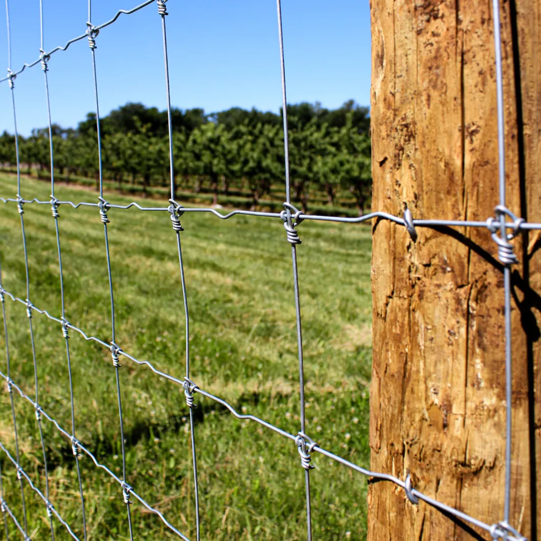 Australia Animals Deer Farm Field Wire Mesh Mesh Roll Farm Fixed Knot Fence
