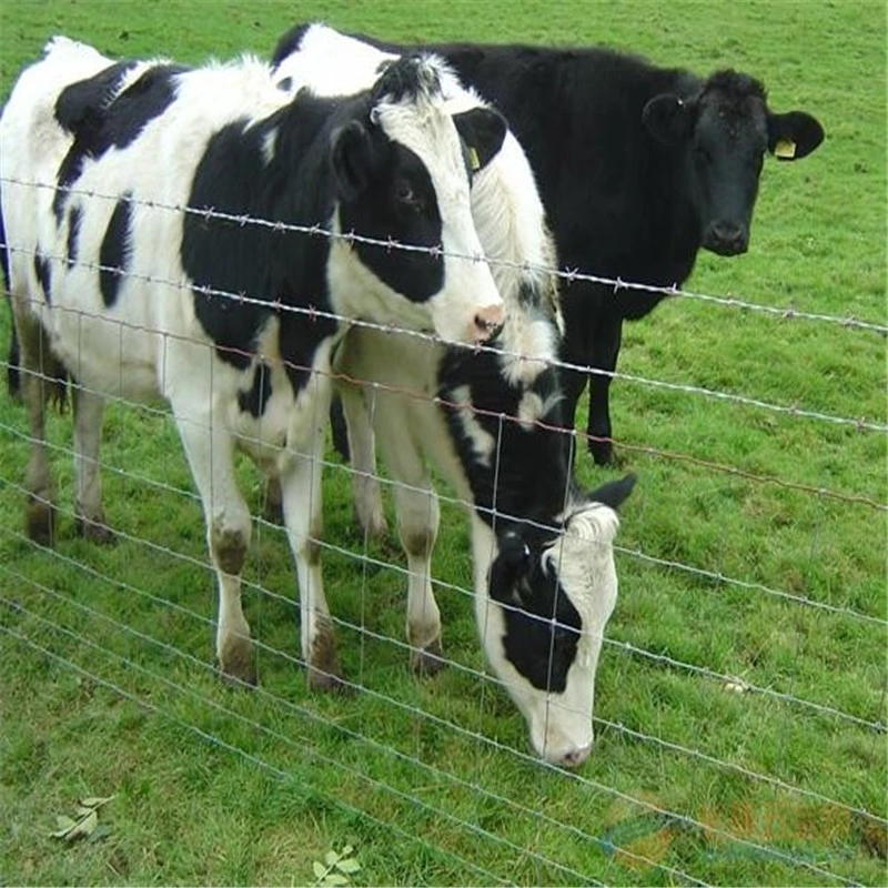 Wholesale Hot Sale Cheap Galvanized Sheep Livestock Wire Mesh Rolls Security Farm/Horse Cattle Field Fence for Fixed Knot/Deer/Game