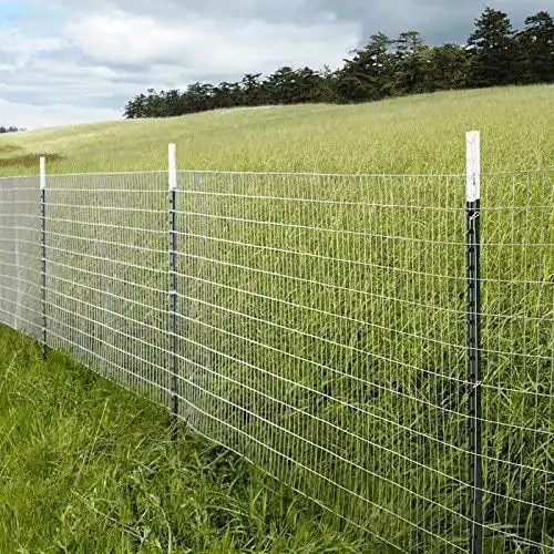 galvanised welded wire fence mesh rolls Cheap Green Color PVC Coated / Galvanized Welded Wire Mesh Price for Poultry Animal Cage