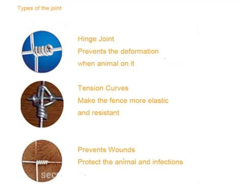 High Tensile Goat / Cattle Fence/Hinge Joint/Fixe Knot Field Fence/Farm Wire Fence /Farm Fence/Livestock /Deer/Sheep Fence/Stiff Stay Fencing