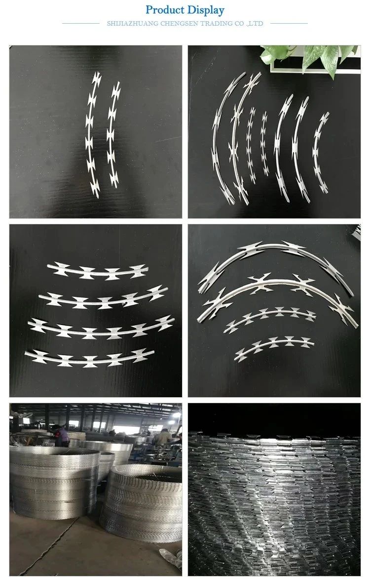 Concertina 150X150mm Square Diamond Hole Razor Wire Welded Mesh Fence