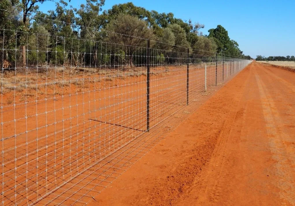 Australia Animals Deer Farm Field Wire Mesh Mesh Roll Farm Fixed Knot Fence