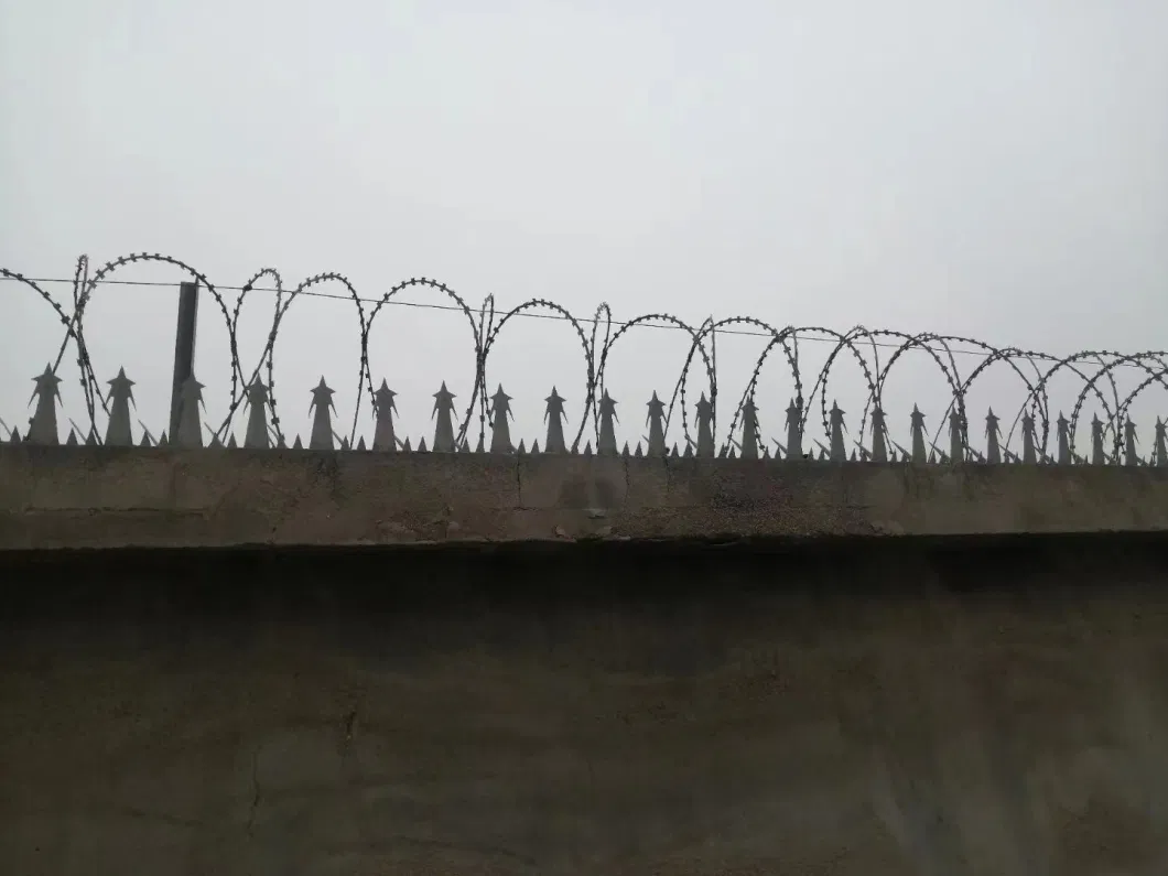 Galvanized or Powder Coated Anti-Climb Protect Wall Spike