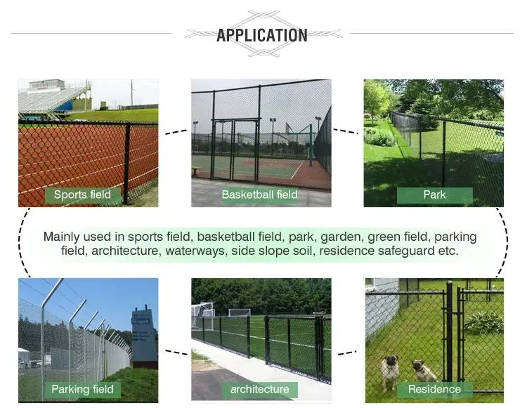 3.0mm Galvanized Chain Link Fence PVC Coated Mesh Rolls Cyclone Farm Wire